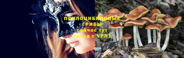 не бодяженный Корсаков