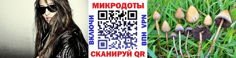 Галлюциногенные грибы Magic Shrooms  Купить закладки  Ногинск 
